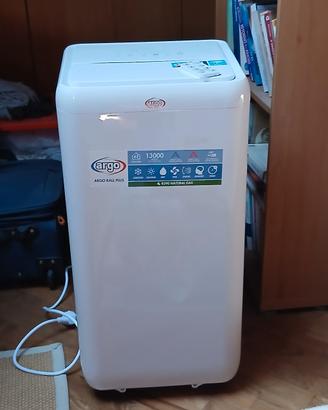 climatizzatore  portatile