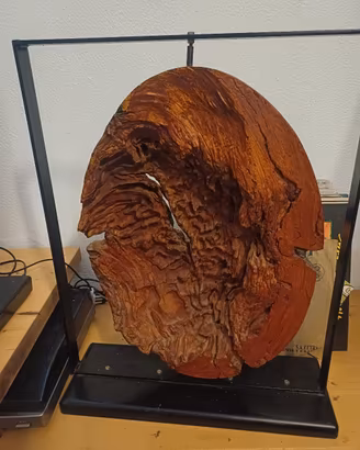 Scultura in legno e metallo