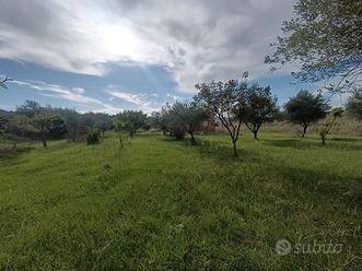 Terreno con magazzino