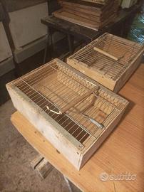 Trasportini pappagalli