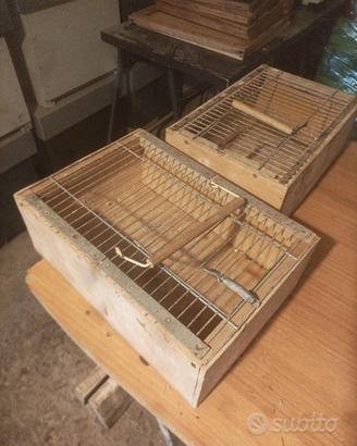 Trasportini pappagalli