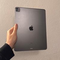 iPad Pro 12.9 (4gen) 256Gb