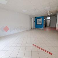 Negozio Sora [Cod. rif 3197961ACG]