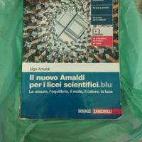 il nuovo Amaldi per licei scientifici 