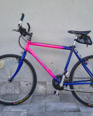 Mountain Bike – MTB 26 doppi cerchi e pneumatici
