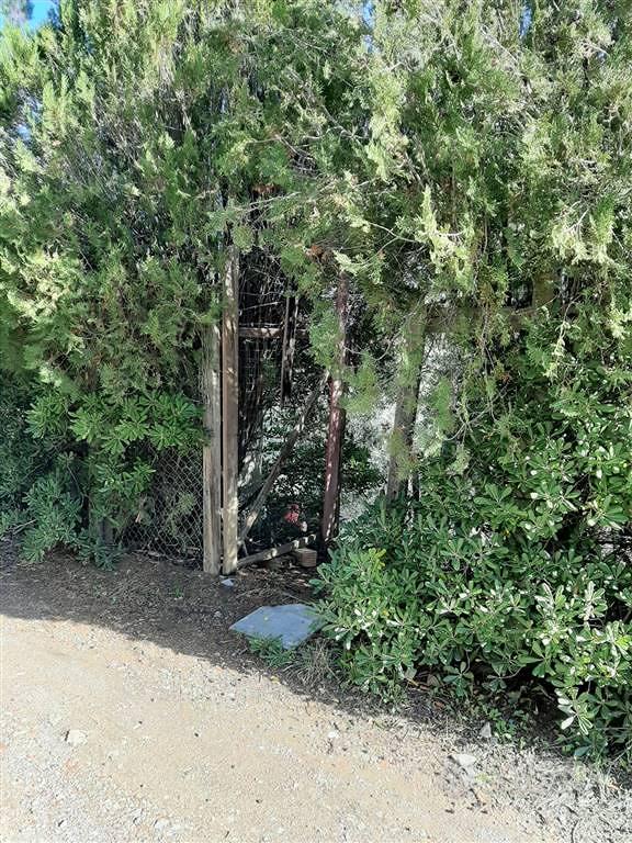 Rif.AA-T32| terreno agricolo follonica - Vista 5