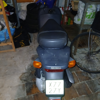 Pioggia free 50cc