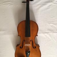 Viola Francesco Passafaro - Allievo Luca Mazzetti