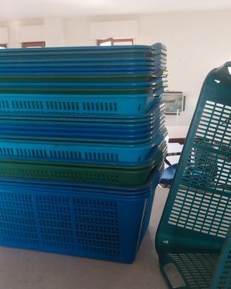 ceste in plastica