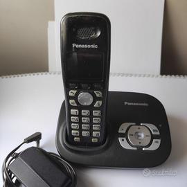Telefono cordless Panasonic KX-TG8021JT
