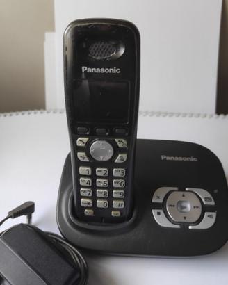 Telefono cordless Panasonic KX-TG8021JT
