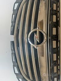 Griglia per opel insigna 2009