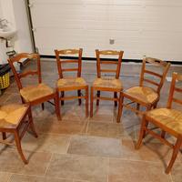 6 Sedie in noce