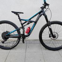 mtb specialized full 29