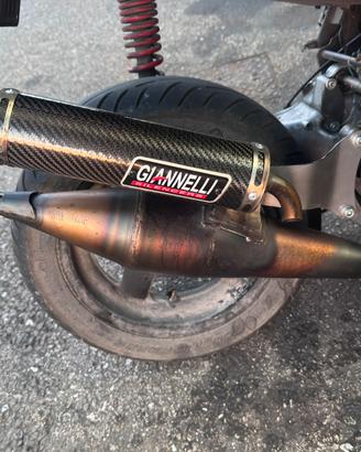 Giannelli Shot V4