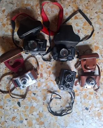 Macchina fotografiche a rullino per amatori