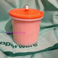 Secchiello ghiaccio tupperware