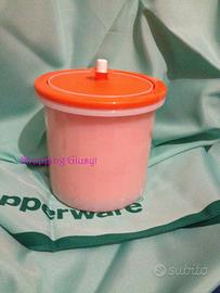 Secchiello ghiaccio tupperware