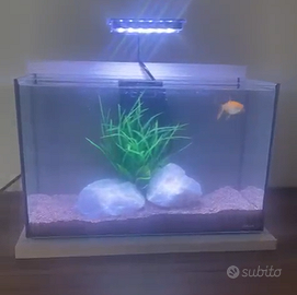 ACQUARIO COMPLETO ZOLUX 20 lt + accessori e arredi