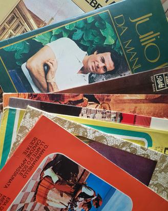 vari dischi in vinile 33