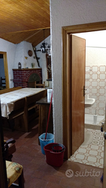 Vendita appartamento