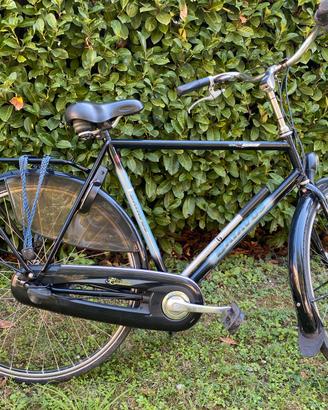 Bici Batavus Torino