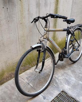 BICI DA UOMO SHADOW CAMBIO 6MARCE
