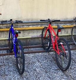 Due bici "Frog" MTB 8 velocità per ragazzi - Biciclette In vendita a Firenze
