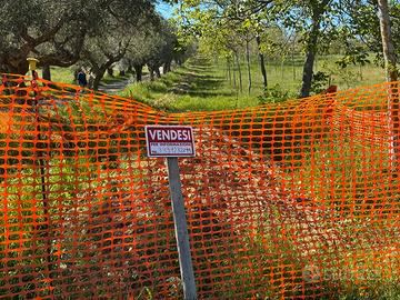 Terreno di 1,5 Ettari - Collemarino di Notaresco