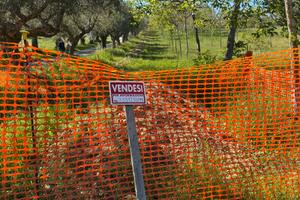 Terreno di 1,5 Ettari - Collemarino di Notaresco