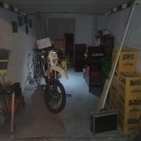 beta rr 50 2024