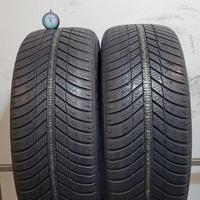 225 55 r17 101v 2 gomme nexen 4 stagione