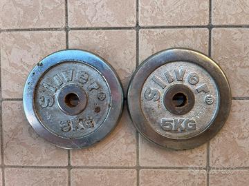 Dischi palestra 5 kg