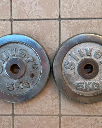 Dischi palestra 5 kg