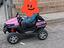 Immagine 3