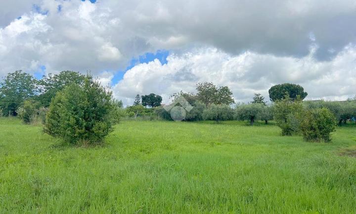 TER. AGRICOLO A VELLETRI