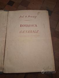 Botanica generale, epoca primi '900