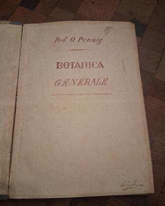 Botanica generale, epoca primi '900