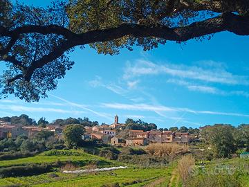 Terreno Nuchis (Tempio Pausania)