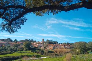 Terreno Nuchis (Tempio Pausania)