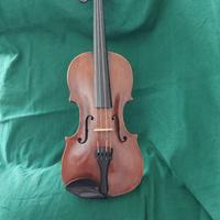 Violino primi 1800