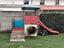 Immagine 2