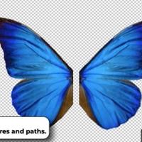 Disegno 3D - Stampa 3D - Compositing Video