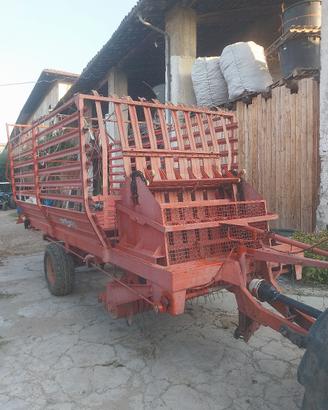 autocaricante