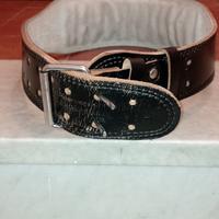 cintura per palestra 