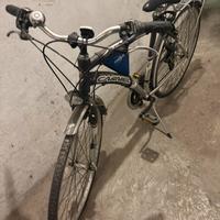 Bici uomo carnielli