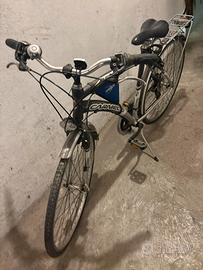 Bici uomo carnielli