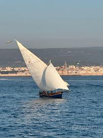 Gozzo legno vela latina