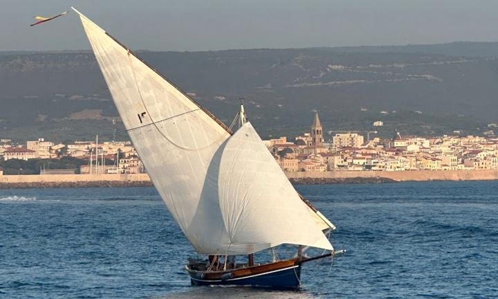 Gozzo legno vela latina