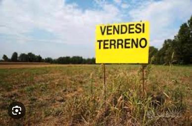 Terreno agricolo - orto irriguo
